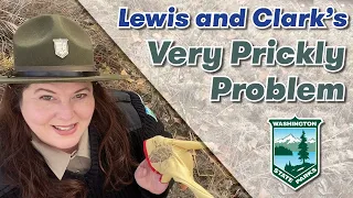 Lewis and Clark's Very Prickly Problem