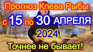 Календарь рыбака с 15 по 30 апреля 2024 Прогноз клева рыбы Лунный Календарь рыбака 2024