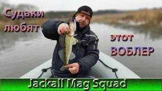 Судак на спиннинг. Jackall Mag Squad |  Catch zander on a spinning in spring