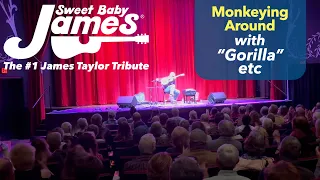 Sweet Baby James: #1 James Taylor Tribute "Monkeying Around" (Gorilla, Handy Man, Your Smiling Face)