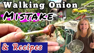 This MISTAKE Can End This Onion | How To Grow Egyptian Walking Onions NOW, Cucumber / Potato Salad