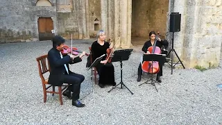 Wedding Music in Tuscany Italy - Live Classical String Quartet