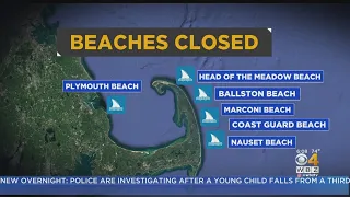 Shark Sightings Close Cape Cod, Plymouth Beaches Monday