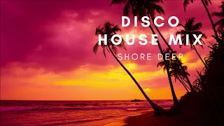 Disco House & EDM Mix 2023