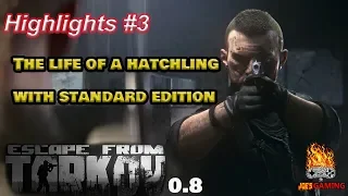 Escape from Tarkov   0 8 the Life of a Hatchling with Standard Edition