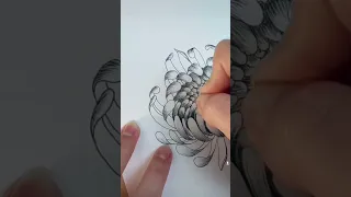 How to draw the chrysanthemum flower! // pen & ink botanical drawing tutorial #mums #florals #art