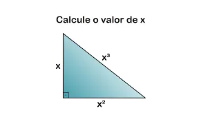 UM TRIÂNGULO ÚNICO