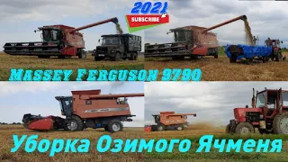 Уборка озимого ячменя 2021г! Massey Ferguson 9690 . ЮМЗ-6КЛ. ГАЗ 4509. Дождь прервал уборку ячменя