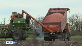Эксперты проверили качество одного миллиона тонн крымского зерна