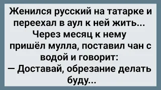 Женился Русский На Татарке и Попал! Сборник Свежих Анекдотов! Юмор!