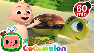 Sea Animal Song | CoComelon Sing Along Songs for Kids | Moonbug Kids Karaoke Time