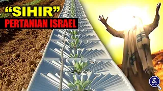 RAHASIA SUKSES PERTANIAN ISRAEL! Beginilah Kecanggihan Teknologi Pertanian Israel Mengubah Dunia