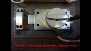 Ultrasonic piezoelectric door lock WUMo-SL-C3316001 #ULTRASONICMOTOR​ #PIEZOMOTOR #PIEZOELECTRICLOCK
