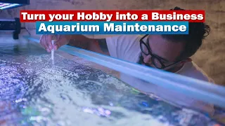Turn your Hobby into a Business with Aquarium Maintenance
