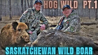 MEAT BOAR DOWN! | Saskatchewan Wild Boar