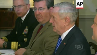 Mattis, Czech defence minister meet at Pentagon
