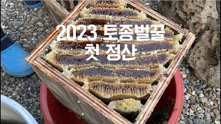 [안씨부자]2023년 첫 토종벌꿀 정산하기