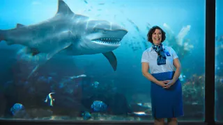 Discovery Channel + CREST | Shark Week 2019