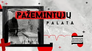 Pažemintųjų palata | Davidonytė | Pancerovas || Laisvės TV tyrimas