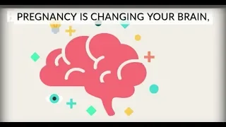 How Pregnancy Changes Your Brain