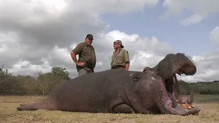 Hippo Hunt in Tanzania