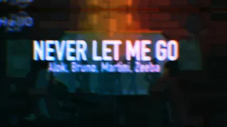 Never let me Go - Alok Bruno, Martini, Zeeba (Slowed)