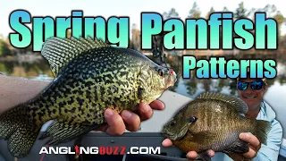 AnglingBuzz Show 1: Spring Panfish Patterns