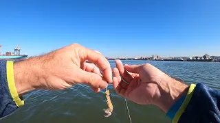 Bait Fishing at Durban Harbour / Cracker on the sand banks - Tips and tricks !! South Africa