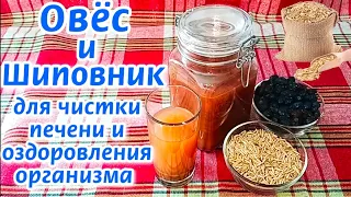 ПРОВЕРЕННЫЙ РЕЦЕПТ! ОВЁС ДЛЯ ЧИСТКИ ПЕЧЕНИ! Как ПРАВИЛЬНО сделать НАСТОЙ из ОВСА и ШИПОВНИКА!