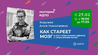 Как стареет мозг и что с этим можно сделать с точки зрения науки | ИДПО ДТСЗН