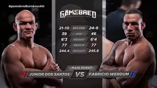 LUTA COMPLETA FABRÍCIO WERDUM VS JUNIOR CIGANO