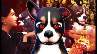 THE SIMS 4 VAMPIRE PUPPY | BIRTH TO DEATH FAMILY