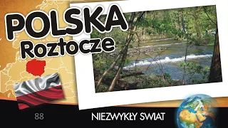 Niezwykły Świat - Polska - Roztocze - Lektor PL - 61 min - 4K