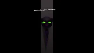 Curiosidades sobre o plagg #miraculous #catnoir #plagg