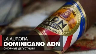 Обзор сигары La Aurora Dominicano ADN - Табак Andullo Доминиканских ВуДу