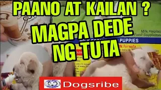 PAANO GAGAWIN KUNG WALA NG GATAS ANG INAHING ASO ?? PANOORIN MO ITO ( PUPPY LOVE )