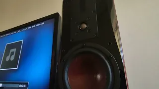 Audio Aero SE amp, Dali Helicon 300 mk2 sound test, Yello🎧🔥🎧