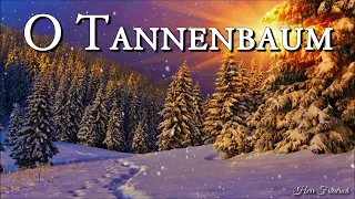 O Tannenbaum 🎄 [German Christmas Song][+Lyrics]