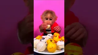 Cute 🥰 Monkey eat bubble candy colours food#babymonkey #viral #shorts #trending #trend
