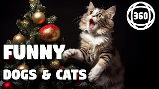 360 VR: New Year's Animals 🐾 FUNNY Dogs and Cats 🐶🐱 vs Christmas Trees 🎄