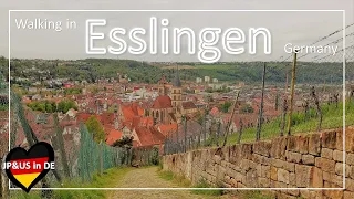 【Esslingenドイツ】🇩🇪Walking in Esslingen am Neckar Germany / Germany Vlog