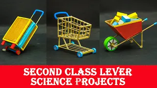 Second Class lever Science Projects