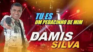 Tu Es Um Pedacinho de Mim DAMIS SILVA