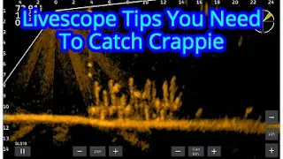 Crappie Fishing Tips using Garmin Livescope |  Garmin Livescope Tips to Catch Crappie