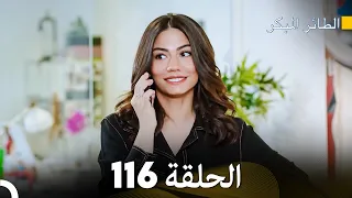 مسلسل الطائر المبكر الحلقة 116 (Arabic Dubbed)