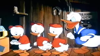 Donald Duck And His Nephews Donald's Happy Birthday 1949