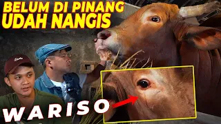 WARISO HEWAN KURBAN TAHUN 2022?? | MAS HERMAWAN "SETIA FARM", BOCORIN HARGA SAPI JUMBO INI.. ❗❗❗