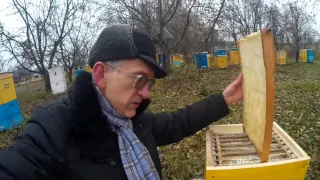 Effective Beehives of Ukrainian Beekeeper Vasyl Priyatelenko