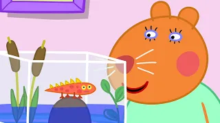 Peppa Pig Has To Visit The Doctor 🐷 🥼 Playtime With Peppa