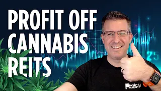 Profit off These 4 Cannabis REITs